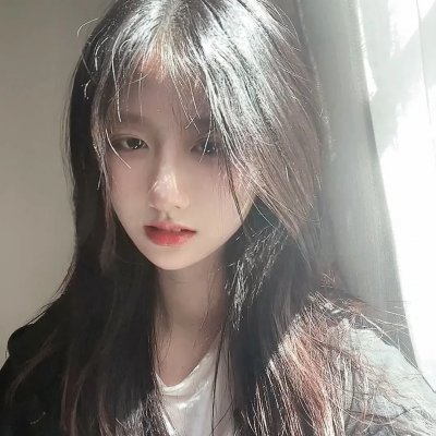 翱翔于天际的夜鹰